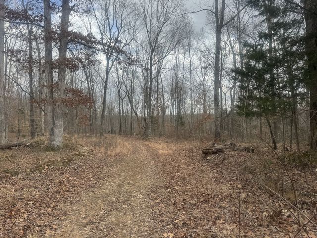 323 Graham Rd, Cumberland City, TN 37050