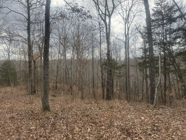 323 Graham Rd, Cumberland City, TN 37050