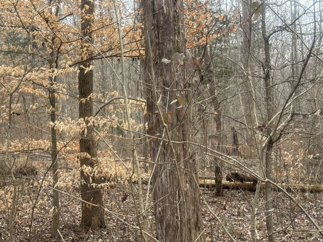 323 Graham Rd, Cumberland City, TN 37050