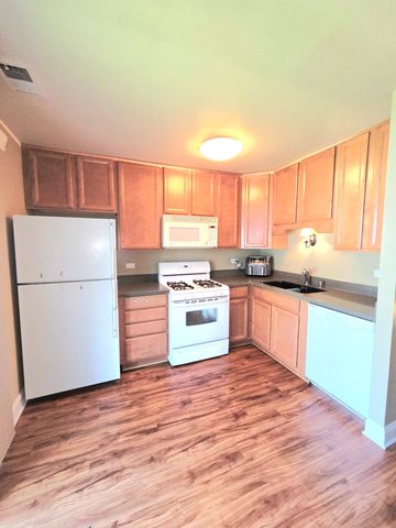 1294 Downing Street, Roselle, IL 60172