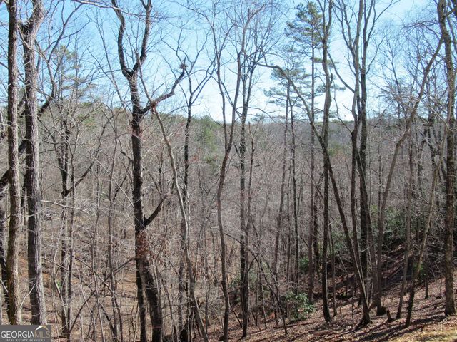 745 Old Kerns Road, Dawsonville, GA 30534