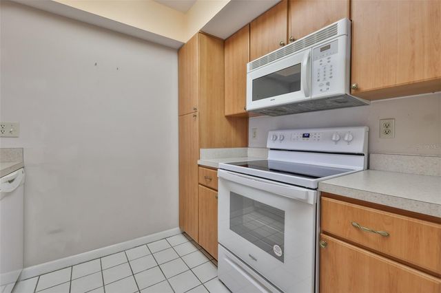 13626 GREENFIELD DRIVE 205, Tampa, FL 33618