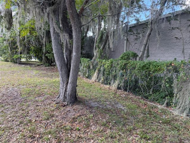 121 W LEMON STREET, Lady Lake, FL 32159