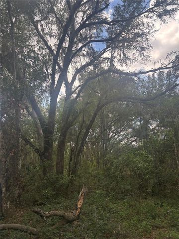 DEEPWELL DRIVE, Brooksville, FL 34602