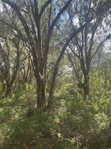 DEEPWELL DRIVE, Brooksville, FL 34602