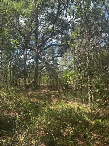DEEPWELL DRIVE, Brooksville, FL 34602
