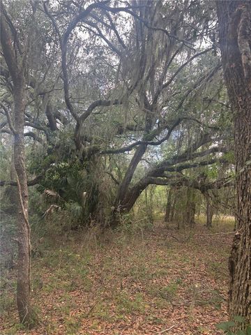 DEEPWELL DRIVE, Brooksville, FL 34602