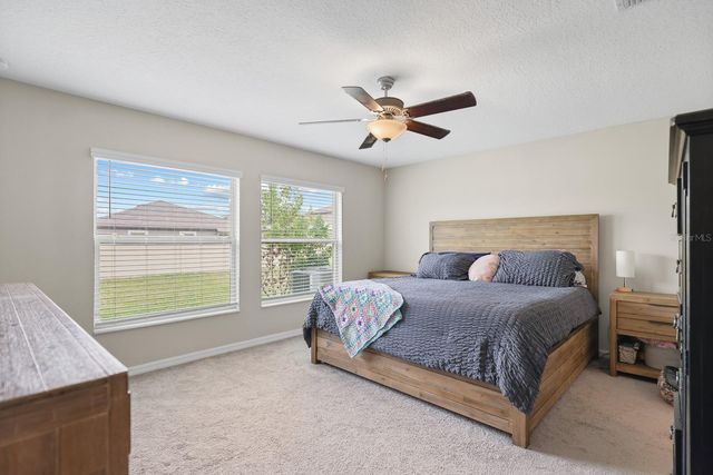 16640 CARLTON POND STREET, Wimauma, FL 33598