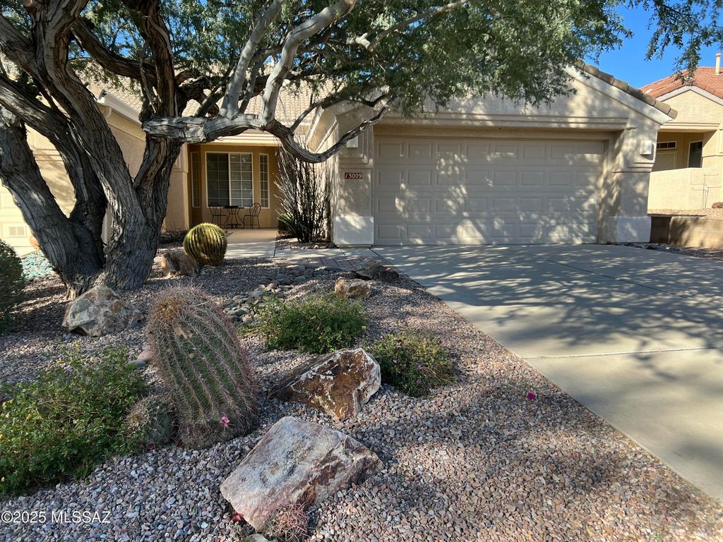13009 N Desert Flora Lane, Marana, AZ 85658