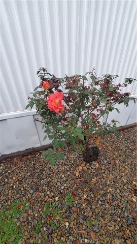 701 E Lassen 133, Chico, CA 95973