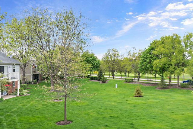 2838 Meadow Lane W2, Schaumburg, IL 60193