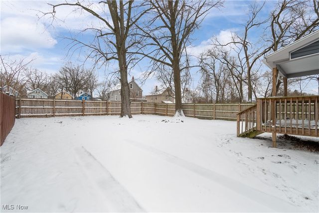 1133 Bellows Street, Akron, OH 44301