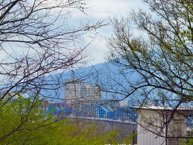 347 Tucker Street, Chattanooga, TN 37405