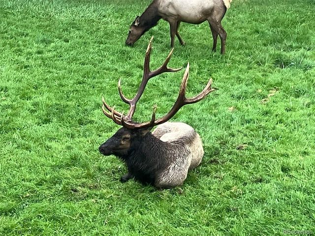 27906 Lupine Dr, Evergreen, CO 80439