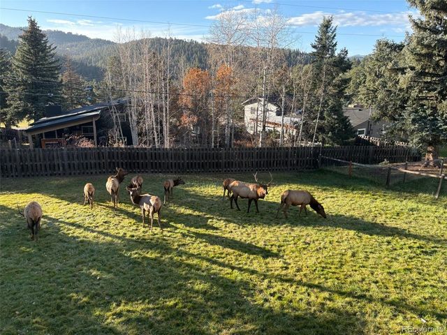 27906 Lupine Dr, Evergreen, CO 80439