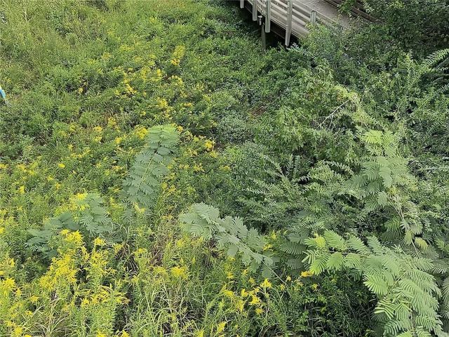 4249 tin hare Lane, Mableton, GA 30126