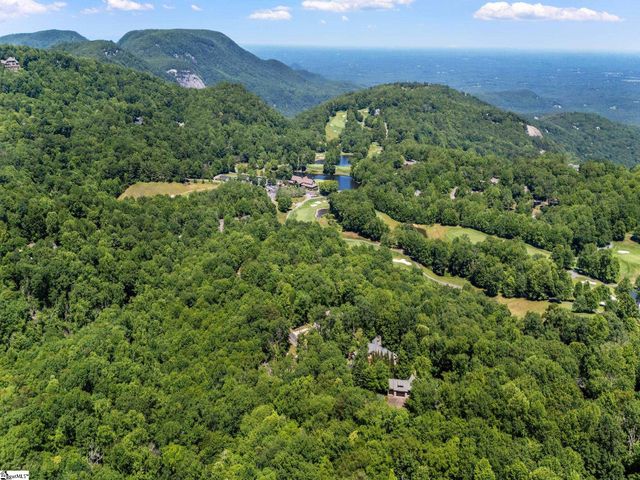 112 Blazing Star Trail, Landrum, SC 29356