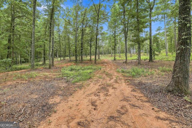 425 Ethridge Mill Rd, Griffin, GA 30224