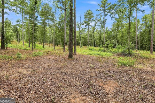 425 Ethridge Mill Rd, Griffin, GA 30224