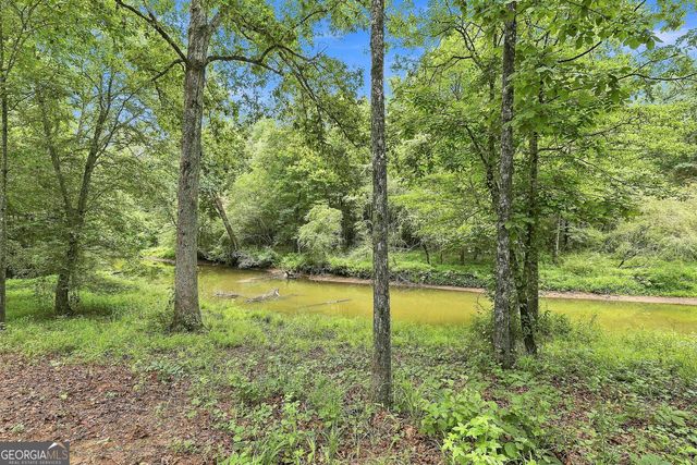 425 Ethridge Mill Rd, Griffin, GA 30224
