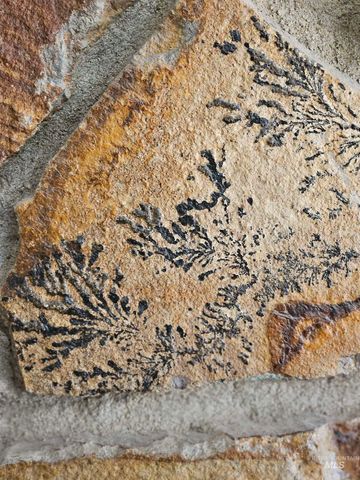 2602 W Woodlawn Ave, Boise, ID 83702