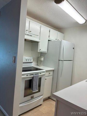 9B Sunmist 9B, Amherst, NY 14228