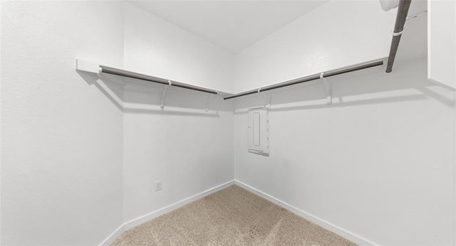 2416 Bear Cub BND, Leander, TX 78641