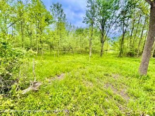 Parcel B Willow, Lansing, MI 48917