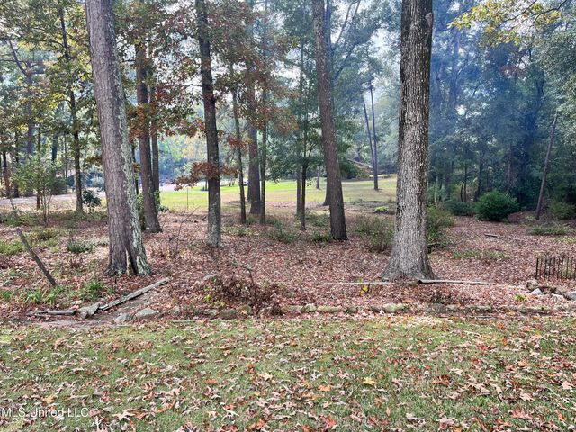 103 Stanton Hall Drive, Florence, MS 39073