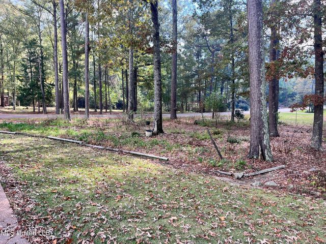 103 Stanton Hall Drive, Florence, MS 39073