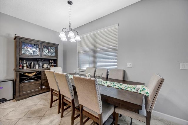 13223 SATIN LILY DRIVE, Riverview, FL 33579