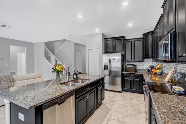 13223 SATIN LILY DRIVE, Riverview, FL 33579