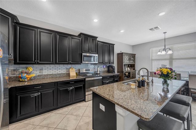 13223 SATIN LILY DRIVE, Riverview, FL 33579