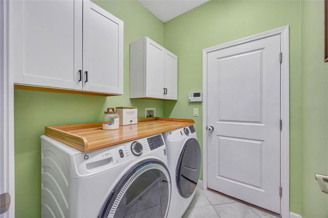 13223 SATIN LILY DRIVE, Riverview, FL 33579