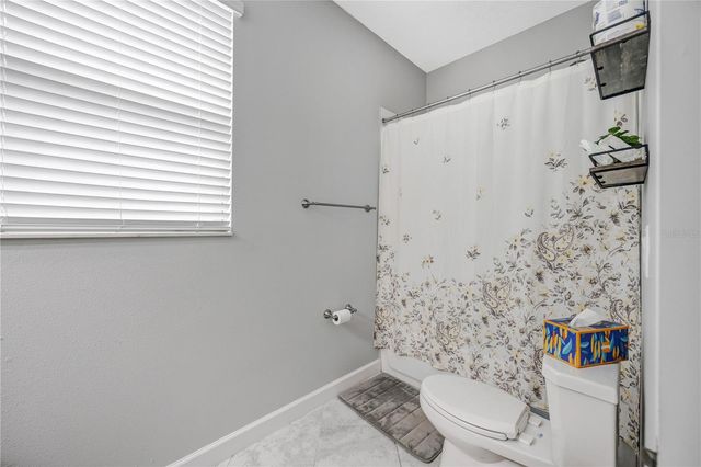 13223 SATIN LILY DRIVE, Riverview, FL 33579