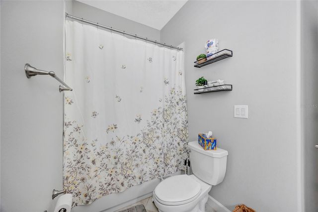 13223 SATIN LILY DRIVE, Riverview, FL 33579