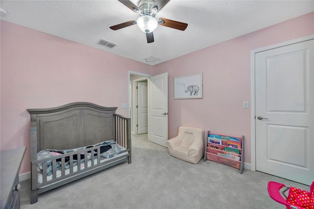 13223 SATIN LILY DRIVE, Riverview, FL 33579