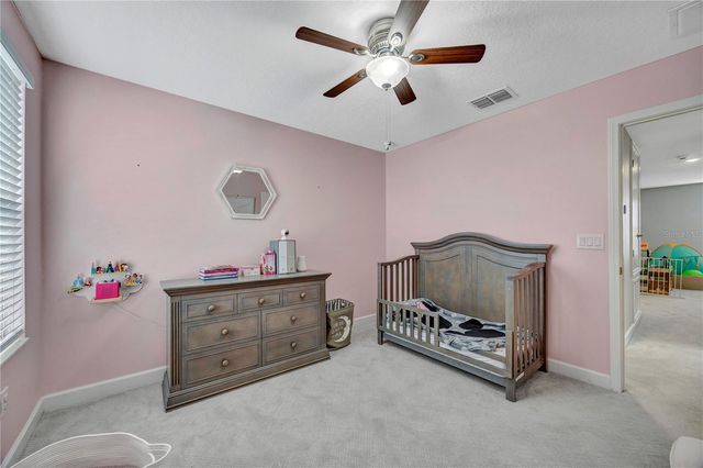 13223 SATIN LILY DRIVE, Riverview, FL 33579