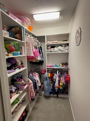 13223 SATIN LILY DRIVE, Riverview, FL 33579