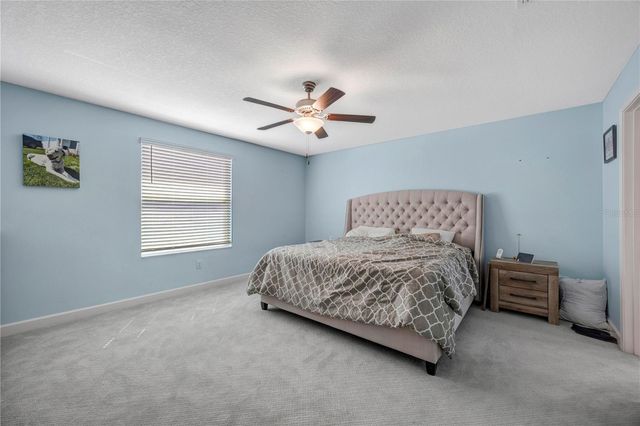 13223 SATIN LILY DRIVE, Riverview, FL 33579