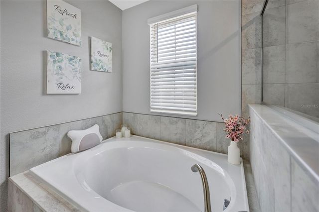 13223 SATIN LILY DRIVE, Riverview, FL 33579