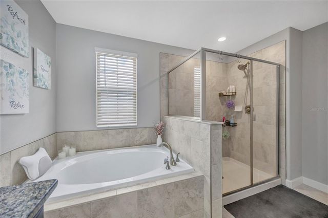 13223 SATIN LILY DRIVE, Riverview, FL 33579