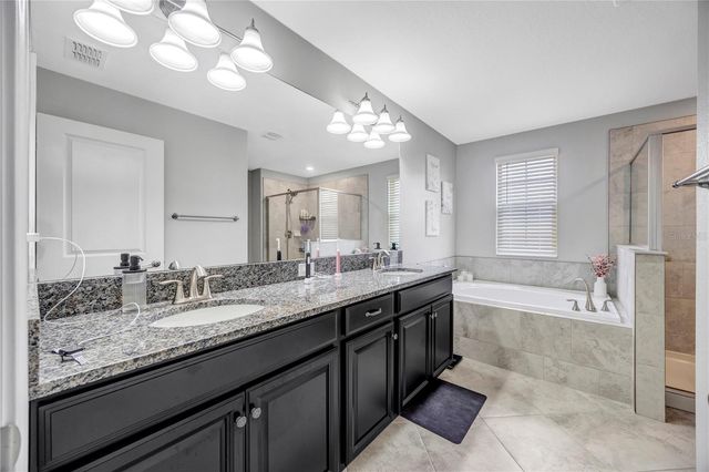 13223 SATIN LILY DRIVE, Riverview, FL 33579