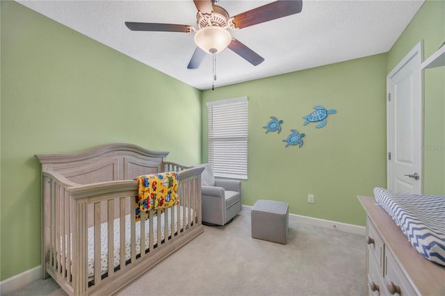 13223 SATIN LILY DRIVE, Riverview, FL 33579