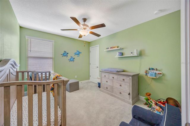 13223 SATIN LILY DRIVE, Riverview, FL 33579