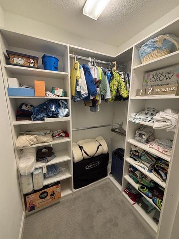 13223 SATIN LILY DRIVE, Riverview, FL 33579