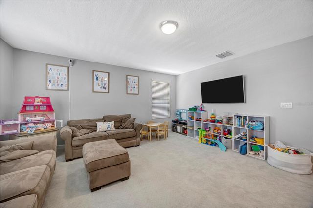 13223 SATIN LILY DRIVE, Riverview, FL 33579