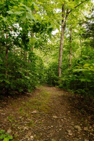 8012 Rose Ridge Pvt Lane, Fairview, TN 37062