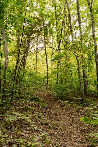 8012 Rose Ridge Pvt Lane, Fairview, TN 37062
