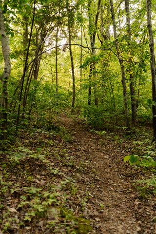 8012 Rose Ridge Pvt Lane, Fairview, TN 37062